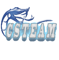 Cs Csteam Sticker