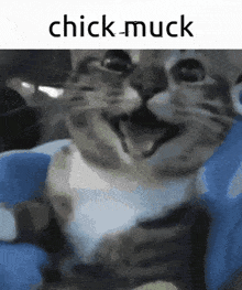 Xzlool Chick Muck GIF - Xzlool Chick Muck GIFs