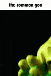 a picture of shrek with the words the common goo above it