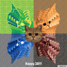 Cat38 Happy38 GIF - Cat38 Happy38 Cat GIFs