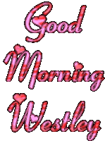 Good Morning Good Morning Westley Sticker - Good Morning Good Morning Westley Westley Stickers