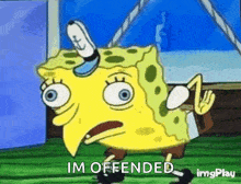 a cartoon of spongebob squarepants with a hat on his head and the words `` im offended '' .