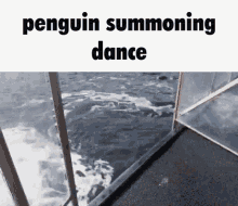 penguin summon penguin dance dance