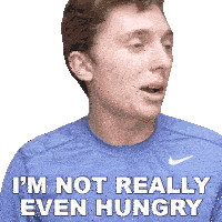 Im Not Really Even Hungry Brandon William Sticker - Im Not Really Even Hungry Brandon William I Dont Feel Any Hunger At All Stickers