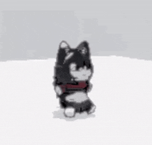 a black and white dog with a red scarf around its neck is standing on a white surface .