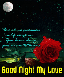 Sleep Tight Sweet Dreams GIF - Sleep Tight Sweet Dreams Good Night My Love GIFs
