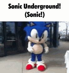 Gaspkujo Sonic GIF - Gaspkujo Sonic Sonic Underground GIFs