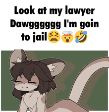 a cartoon drawing of a cat with the words look at my lawyer dawg i 'm goin to jail
