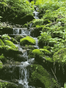 Waterfall Stream GIF - Waterfall Stream Cascade GIFs