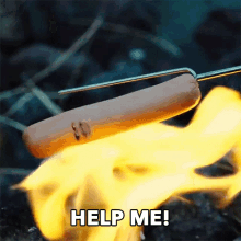 Help Me Burned GIF - Help Me Burned Fire GIFs