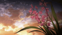 anime another flowers sky clouds