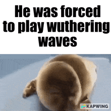 Wuthering Waves Wutheringwaves GIF - Wuthering Waves Wuthering Waves GIFs