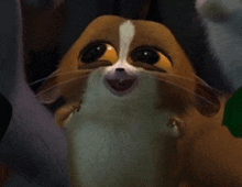 a close up of a cat with a white stripe on its face