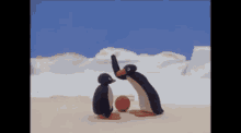Pingu Head GIF
