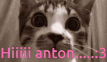 Hi Anton GIF - Hi Anton Antonio GIFs