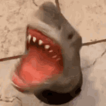 Shark Head GIF - Shark Head Toy GIFs
