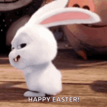 Easter Bunny GIF - Easter Bunny Funny GIFs