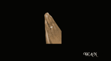 a woman 's hand with a ring on her finger and the word wan on the bottom