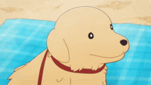 a cartoon dog with its tongue hanging out on a blue plaid blanket
