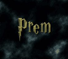 prem success logo branding rain