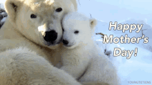 Happy Mothers Day Mommy GIF - Happy Mothers Day Mommy Polar Bear GIFs