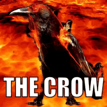 The Crow GIF - The Crow GIFs