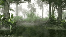 a painting of a forest with the caption " mematic & tenor " on the bottom