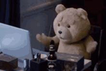 Ted What Now GIF - Ted What Now Watching GIFs
