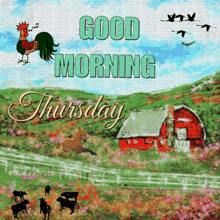 Good Thursday Morning GIF - Good Thursday Morning GIFs