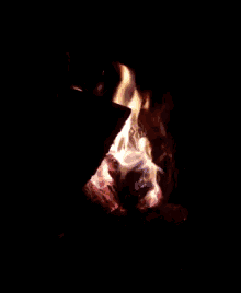 Campfire GIF - Campfire GIFs
