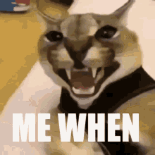 a close up of a cat with its mouth open and the words `` me when '' on the bottom .