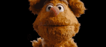 Muppets Fozzie Bear GIF - Muppets Fozzie Bear Cleaning GIFs