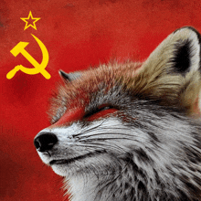Plasma Soviet Fox GIF - Plasma Soviet Fox GIFs