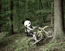 a panda riding a dirt bike in the woods