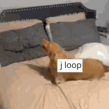 Programming Loop GIF - Programming Loop GIFs