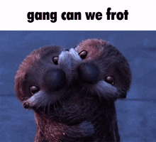 Gang Gang Can We Frot GIF - Gang Gang Can We Frot Gang Can We GIFs