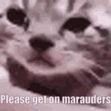 Please Get On Marauders Marauders GIF