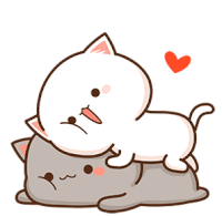 Cat Cute Sticker