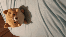 Nugget Roll Over GIF - Nugget Roll Over Dog GIFs