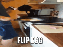 egg flip the egg cooking fry