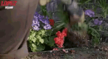 Pulling Weeds GIF - Pulling Weeds Pull Garden GIFs