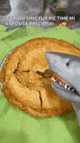 Shark Puppet Apple Pie GIF - Shark Puppet Apple Pie Pie GIFs