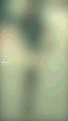 a blurred image of a person standing next to each other with a tik tok watermark