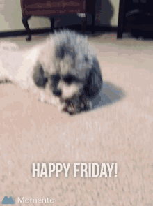 Happy Friday Lulu GIF - Happy Friday Lulu Weekend Vibe GIFs