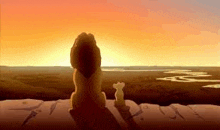 a lion and a cub are sitting on top of a rock watching the sunset over a river .