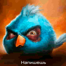 a blue bird with an orange beak is looking at the camera with russian writing below it