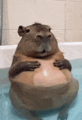 GIF