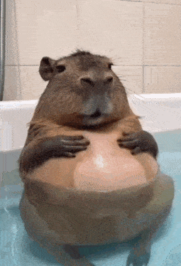 a capybara is sitting in a bathtub with its hands on its chest .