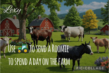 a poster that says lexy use to send a roomie to spend a day on the farm pic collage
