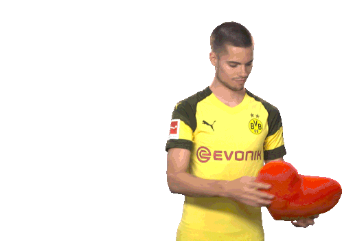 Bvb Dortmund Sticker - Bvb Dortmund Borussia Stickers